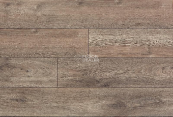 My Step Terra Aqua Block MS128AB Дуб Вена фото 1 | FLOORDEALER